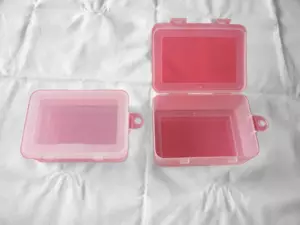 Plastic Storage Box With Integrated Hanger